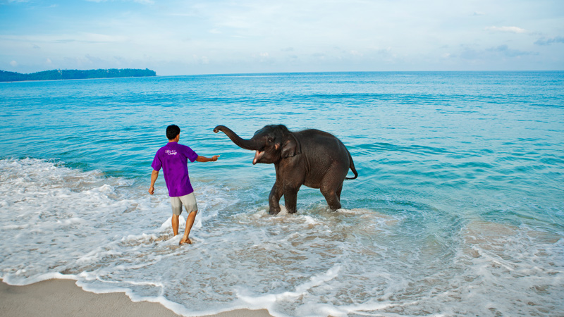 Tour Andaman